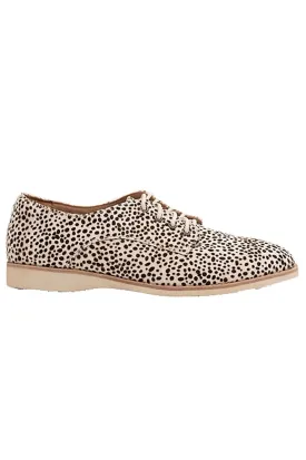 Derby Snow Leopard